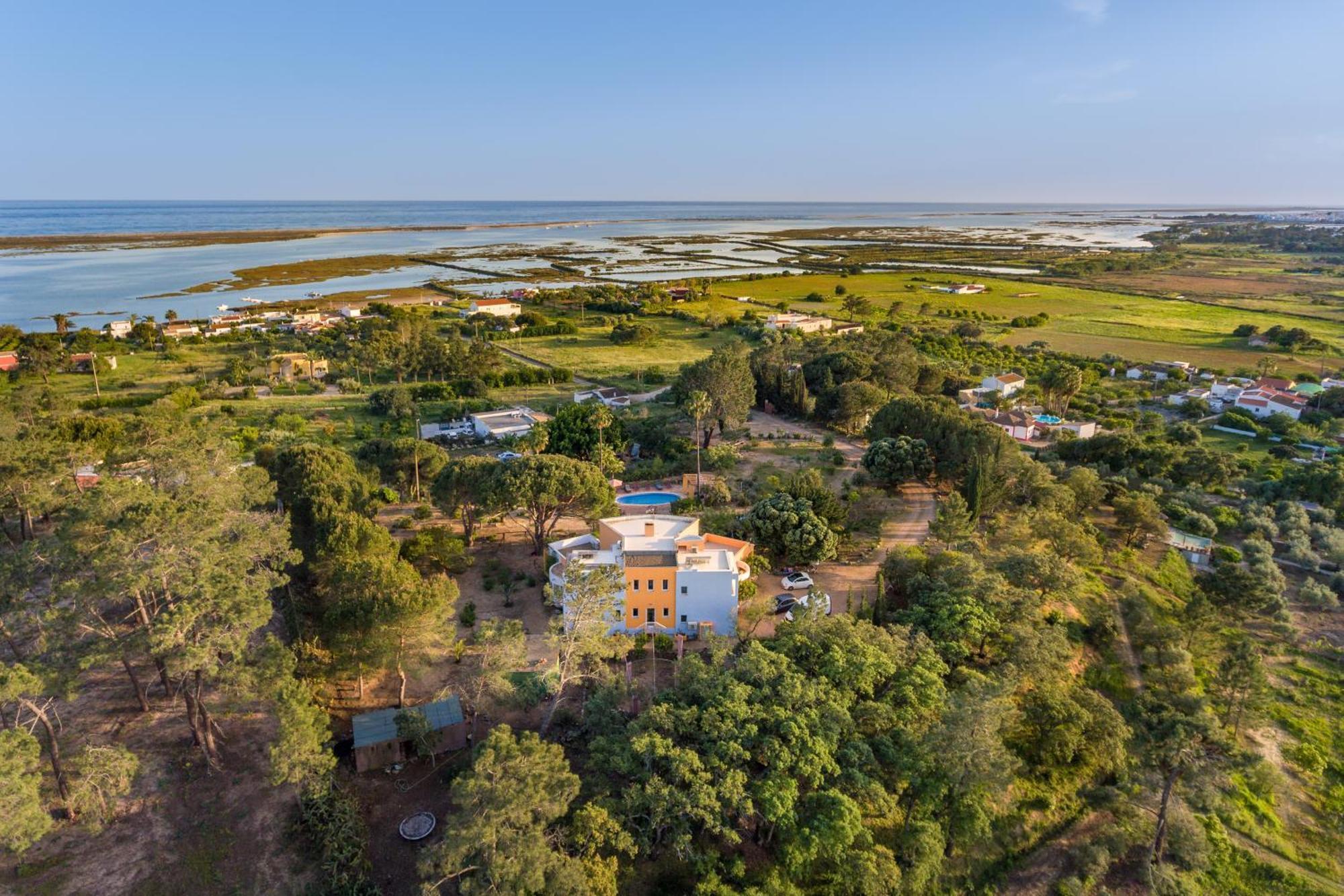 Meia Lua - Your Private Artsy Paradise Overlooking The Ria Formosa With Pool And Sea Views Near Barril Beach, Tavira ルース・デ・タビラ エクステリア 写真